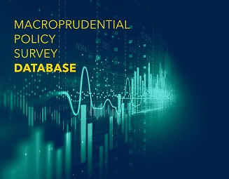 Macroprudential Policy Survey